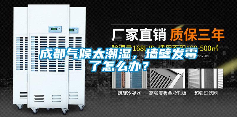 成都气候太潮湿，墙壁发霉了怎么办？