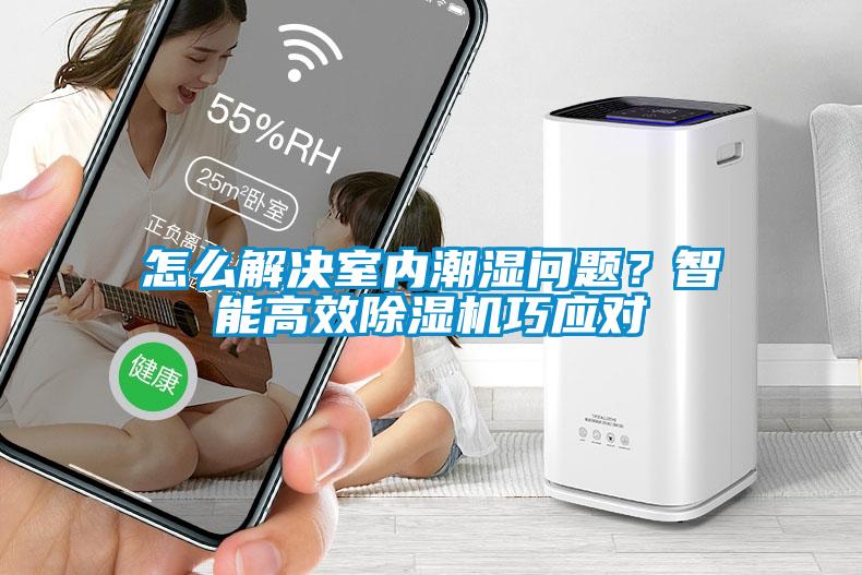 怎么解决室内潮湿问题？智能高效樱桃TV在线观看机巧应对