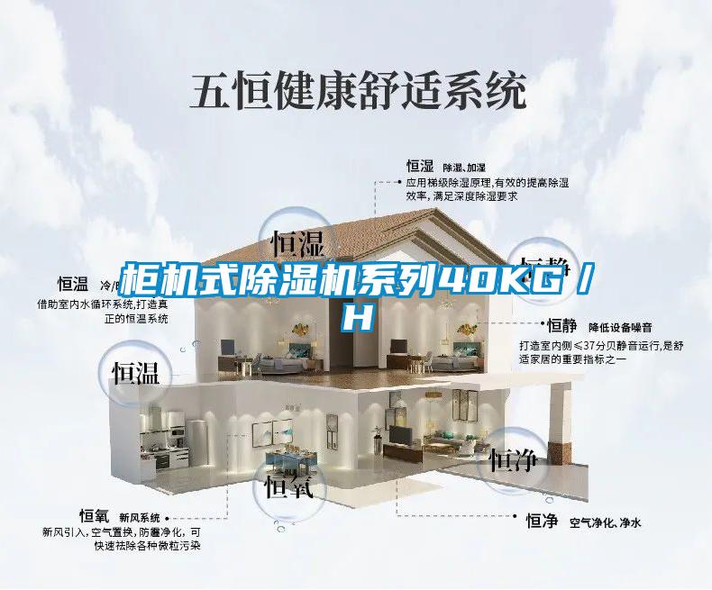 柜机式樱桃TV在线观看机系列40KG／H