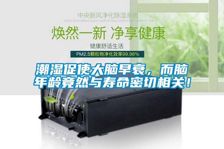 潮湿促使大脑早衰，而脑年龄竟然与寿命密切相关！