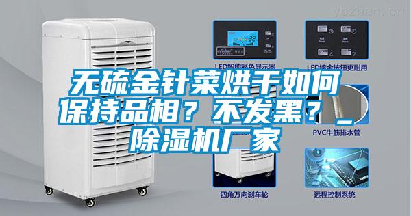 无硫金针菜烘干如何保持品相？不发黑？_樱桃TV在线观看机厂家