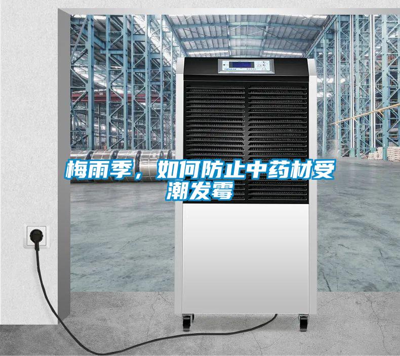 梅雨季，如何防止中药材受潮发霉