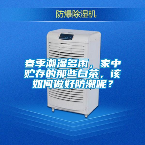 春季潮湿多雨，家中贮存的那些白茶，该如何做好防潮呢？