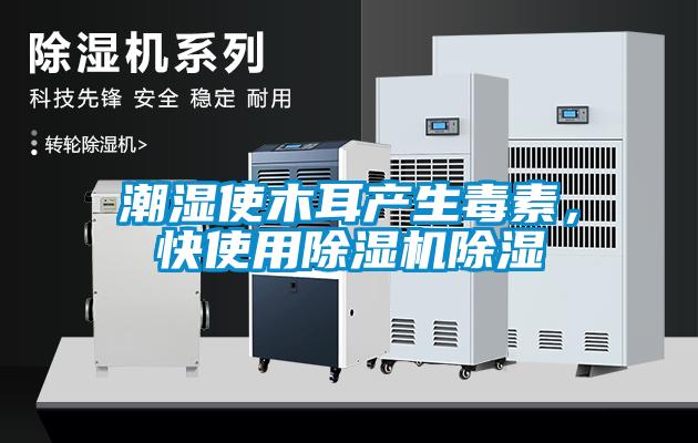 潮湿使木耳产生毒素，快使用樱桃TV在线观看机樱桃TV在线观看