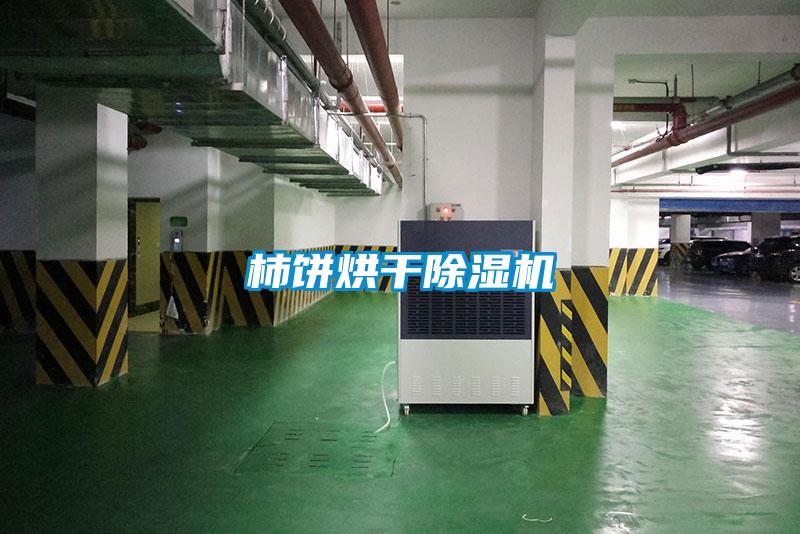 柿饼烘干樱桃TV在线观看机