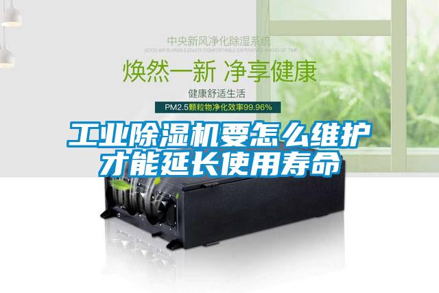 工业樱桃TV在线观看机要怎么维护才能延长使用寿命
