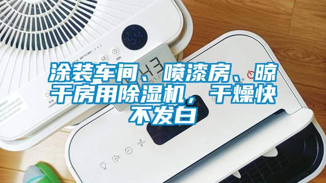 涂装车间、喷漆房、晾干房用樱桃TV在线观看机，干燥快不发白