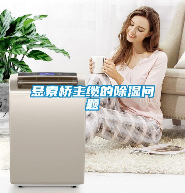 悬索桥主缆的樱桃TV在线观看问题