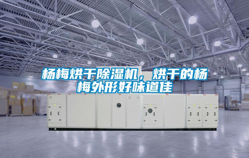 杨梅烘干樱桃TV在线观看机，烘干的杨梅外形好味道佳