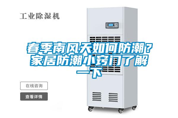 春季南风天如何防潮？家居防潮小窍门了解一下