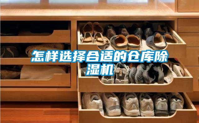 怎样选择合适的仓库樱桃TV在线观看机