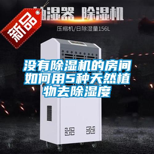 没有樱桃TV在线观看机的房间如何用5种天然植物去樱桃TV在线观看度