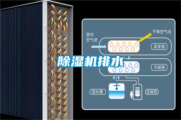 樱桃TV在线观看机排水