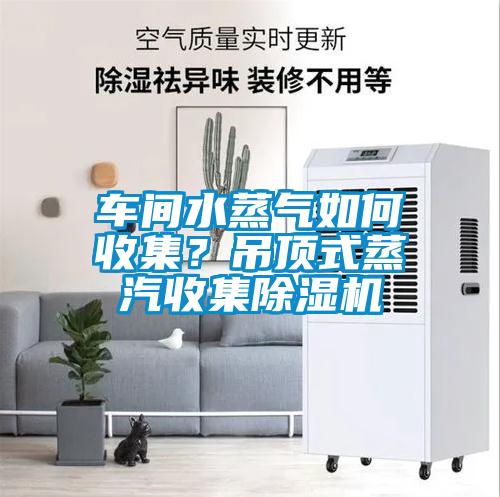 车间水蒸气如何收集？吊顶式蒸汽收集樱桃TV在线观看机