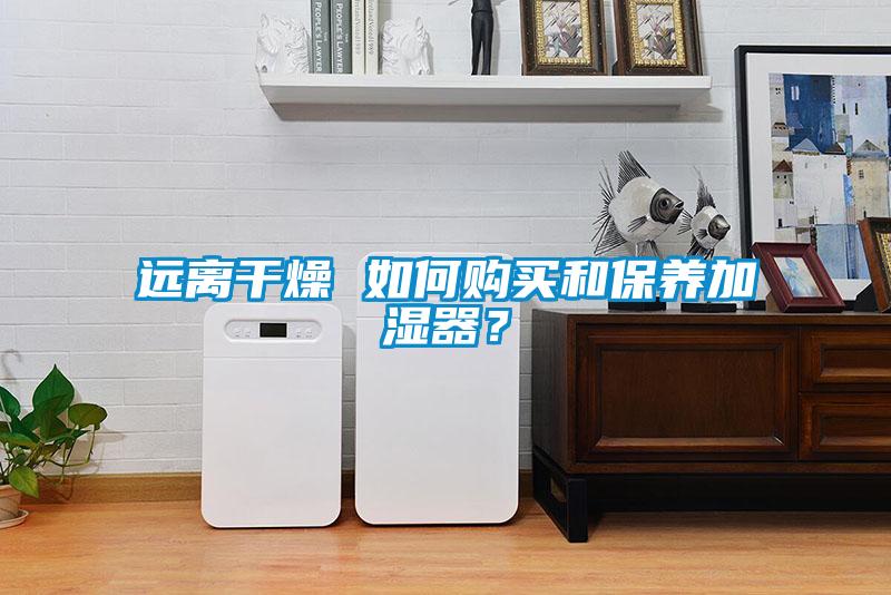 远离干燥 如何购买和保养加湿器？