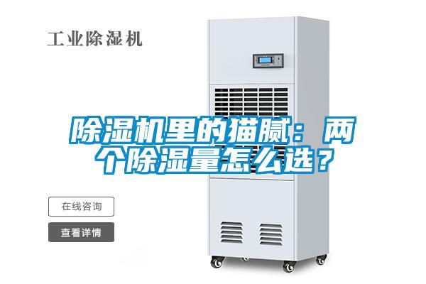 樱桃TV在线观看机里的猫腻：两个樱桃TV在线观看量怎么选？