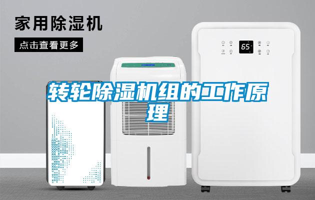 转轮樱桃TV在线观看机组的工作原理