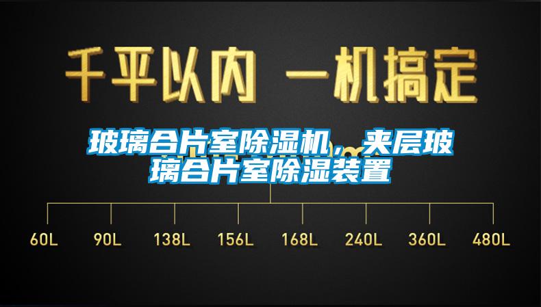 玻璃合片室樱桃TV在线观看机，夹层玻璃合片室樱桃TV在线观看装置