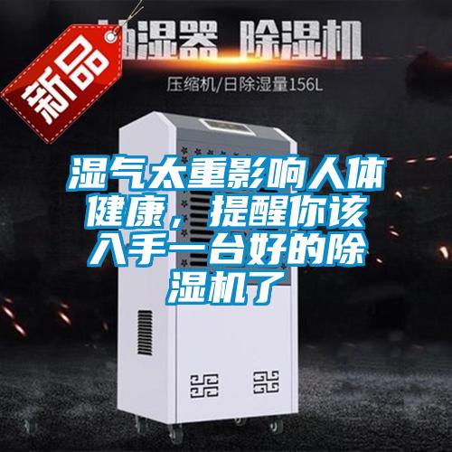 湿气太重影响人体健康，提醒你该入手一台好的樱桃TV在线观看机了