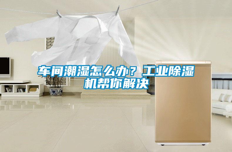 车间潮湿怎么办？工业樱桃TV在线观看机帮你解决