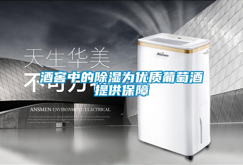 酒窖中的樱桃TV在线观看为优质葡萄酒提供保障