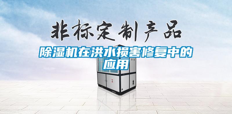 樱桃TV在线观看机在洪水损害修复中的应用