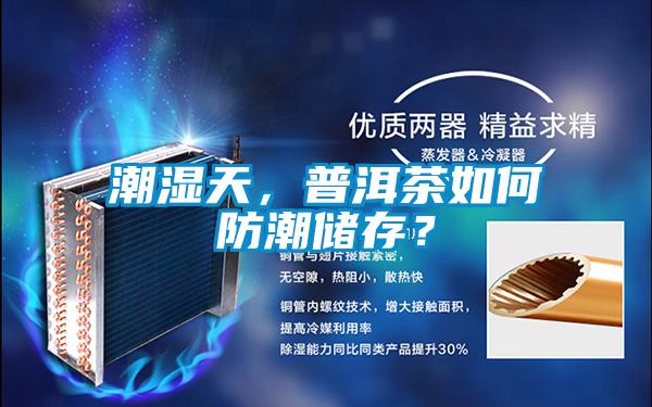 潮湿天，普洱茶如何防潮储存？