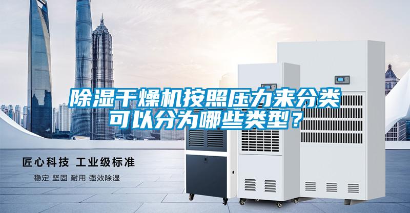 樱桃TV在线观看干燥机按照压力来分类可以分为哪些类型？