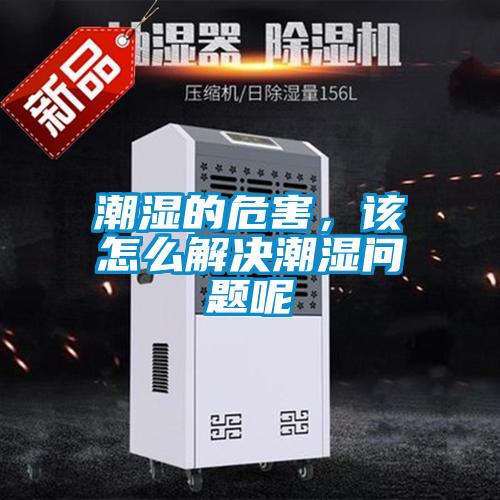 潮湿的危害，该怎么解决潮湿问题呢