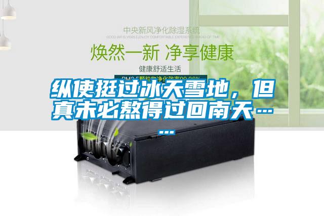 纵使挺过冰天雪地，但真未必熬得过回南天……