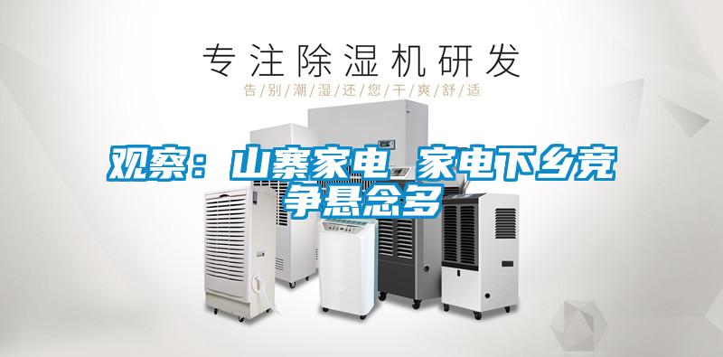观察：山寨家电 家电下乡竞争悬念多