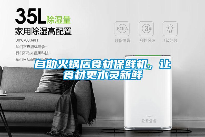 自助火锅店食材保鲜机，让食材更水灵新鲜