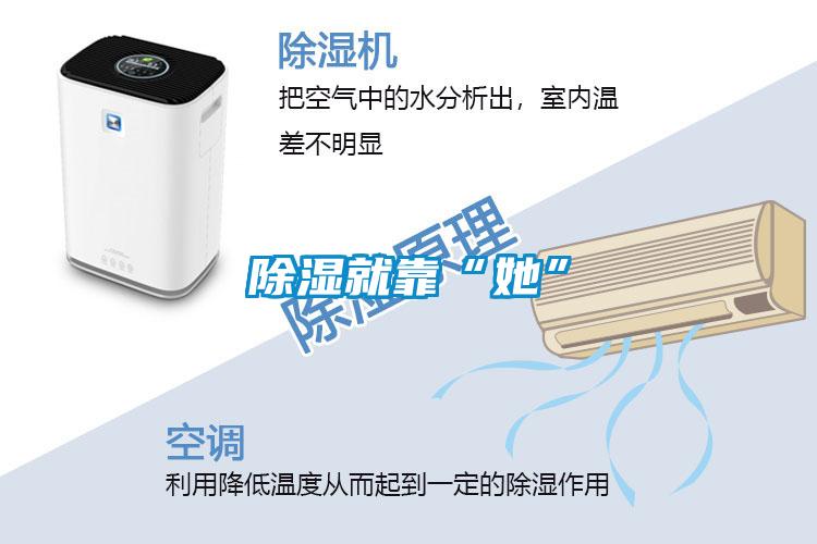 樱桃TV在线观看就靠“她”