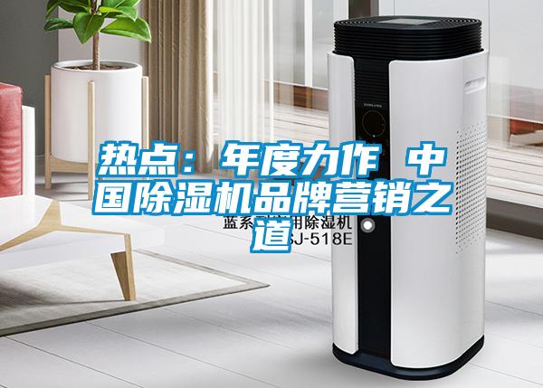 热点：年度力作 中国樱桃TV在线观看机品牌营销之道