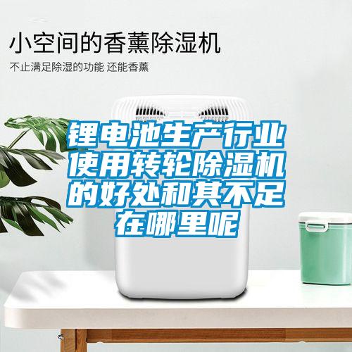锂电池生产行业使用转轮樱桃TV在线观看机的好处和其不足在哪里呢