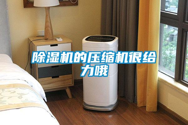 樱桃TV在线观看机的压缩机很给力哦