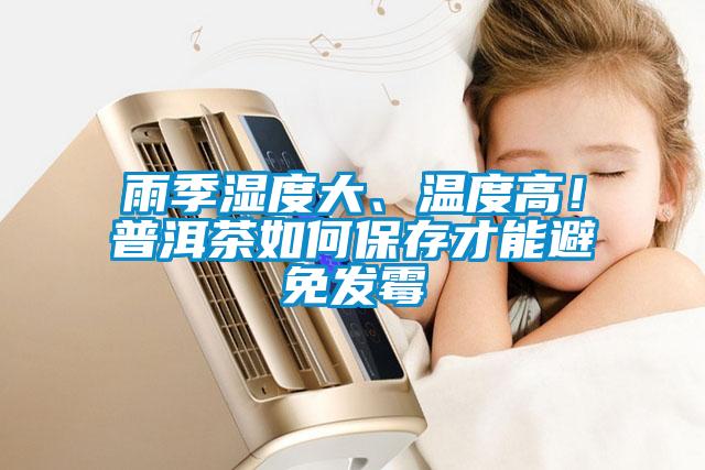雨季湿度大、温度高！普洱茶如何保存才能避免发霉