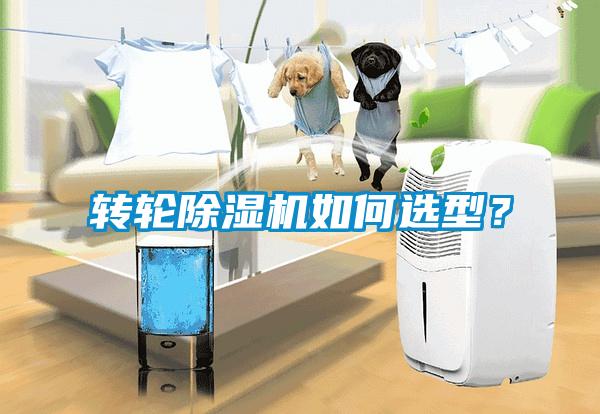 转轮樱桃TV在线观看机如何选型？
