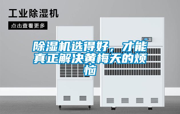 樱桃TV在线观看机选得好，才能真正解决黄梅天的烦恼
