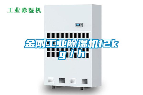金刚工业樱桃TV在线观看机12kg／h