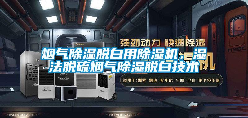 烟气樱桃TV在线观看脱白用樱桃TV在线观看机，湿法脱硫烟气樱桃TV在线观看脱白技术