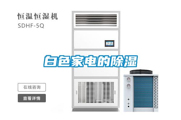 白色家电的樱桃TV在线观看