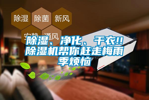 樱桃TV在线观看、净化、干衣!!樱桃TV在线观看机帮你赶走梅雨季烦恼