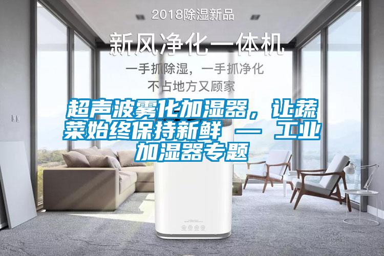 超声波雾化加湿器，让蔬菜始终保持新鲜 — 工业加湿器专题