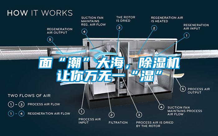 面“潮”大海，樱桃TV在线观看机让你万无一“湿”