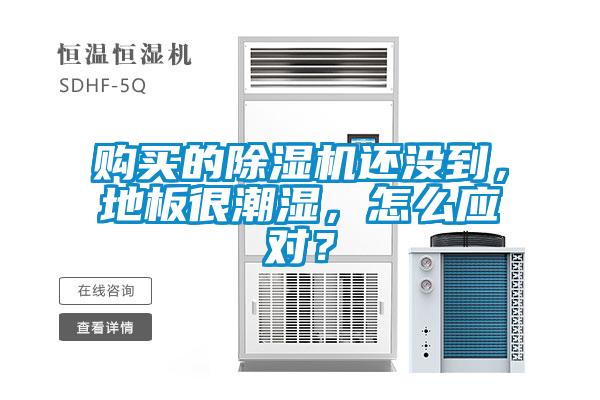 购买的樱桃TV在线观看机还没到，地板很潮湿，怎么应对？