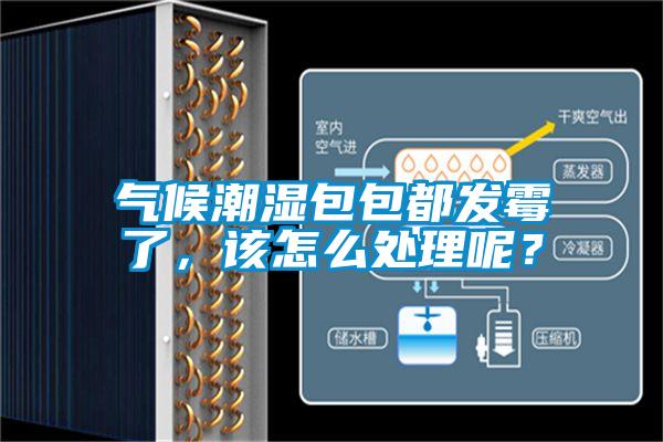 气候潮湿包包都发霉了，该怎么处理呢？
