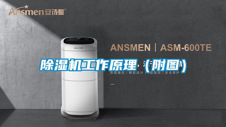 樱桃TV在线观看机工作原理（附图）
