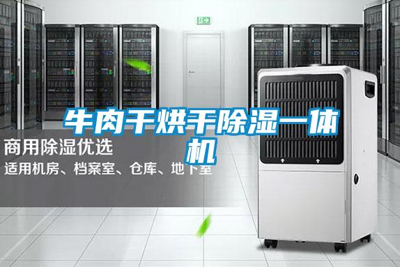 牛肉干烘干樱桃TV在线观看一体机