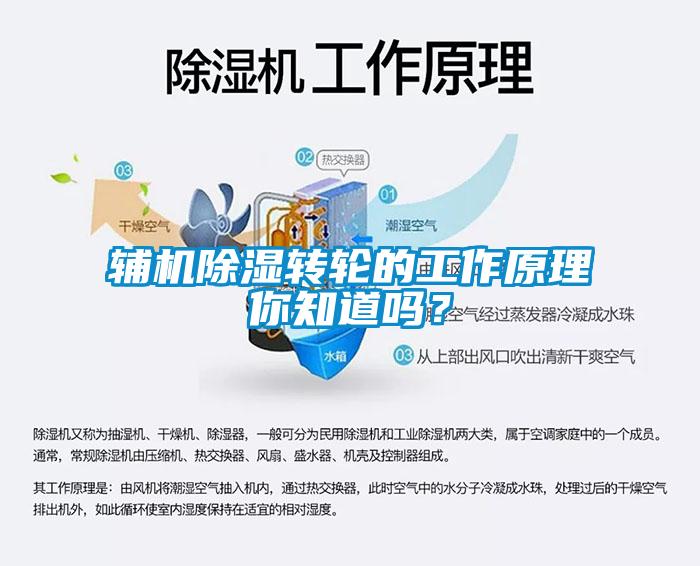 辅机樱桃TV在线观看转轮的工作原理你知道吗？